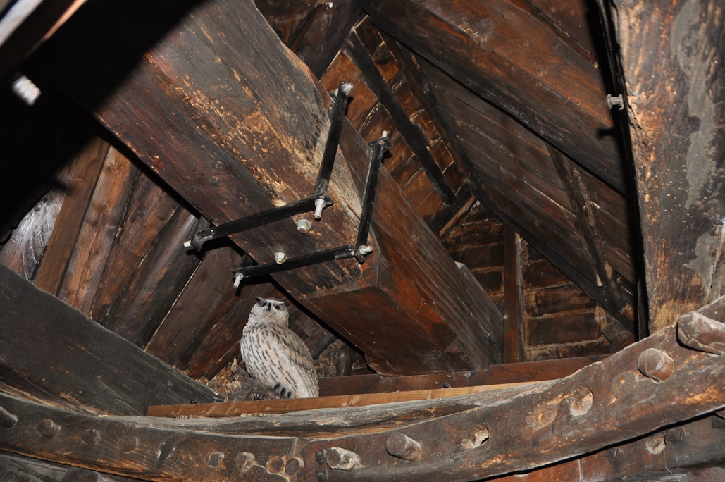 DSC_0266_12583