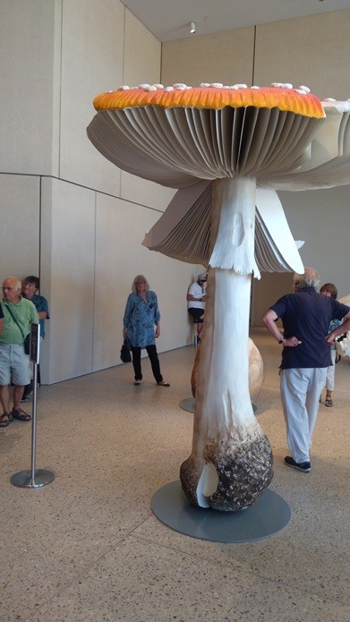 Champignon